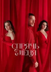 Спрячь меня (1 сезон) онлайн