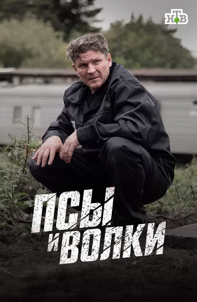 сериал Псы и волки (1 сезон)